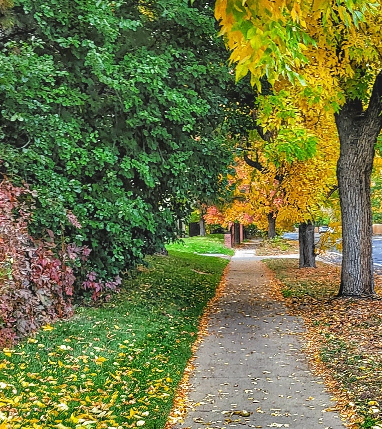 IMG_20241003_081715_724